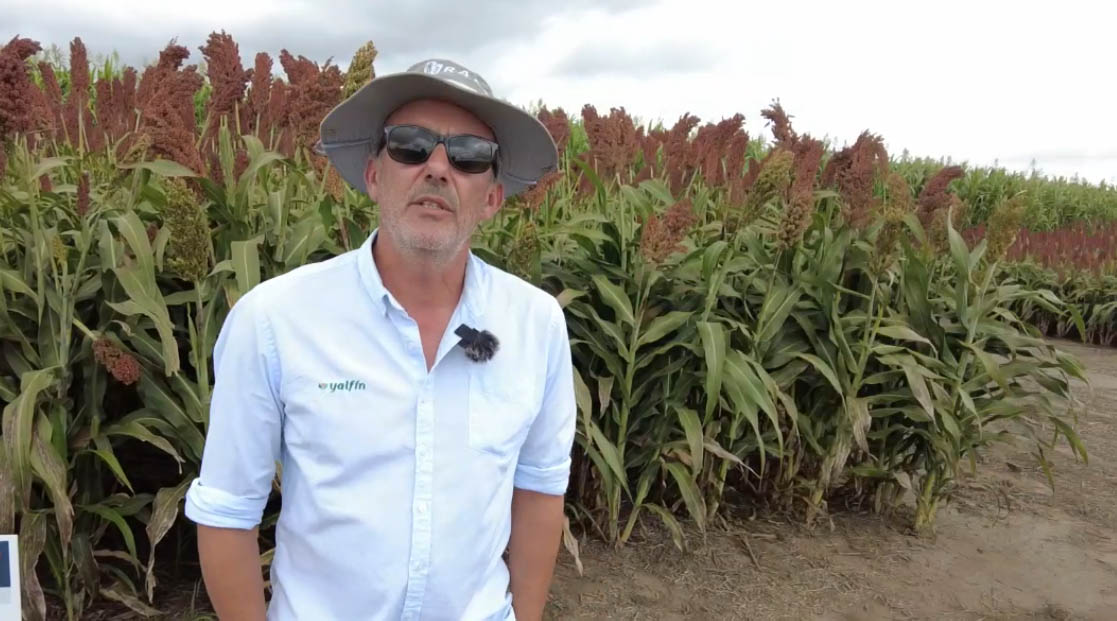 Gabriel Cstiglioni de Yalfin explica cómo están los biológicos en Uruguay "Se está empezando"